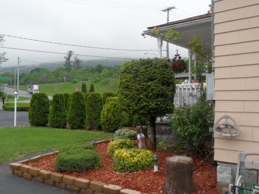 Seven Dwarfs Motel & Cabins Lake George Bagian luar foto